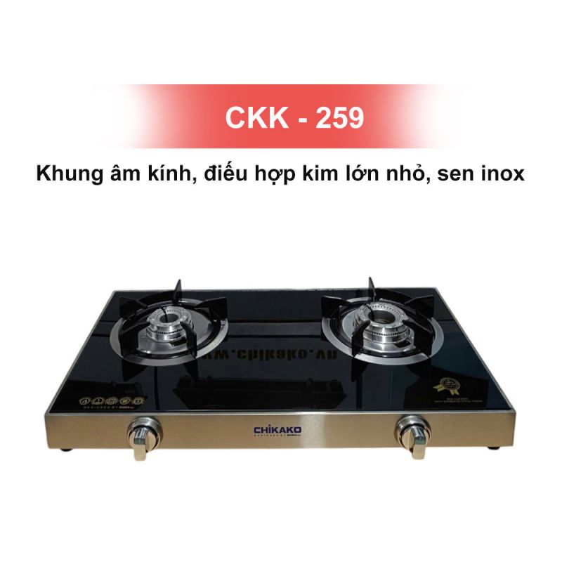 Bếp gas đôi CKK - 259