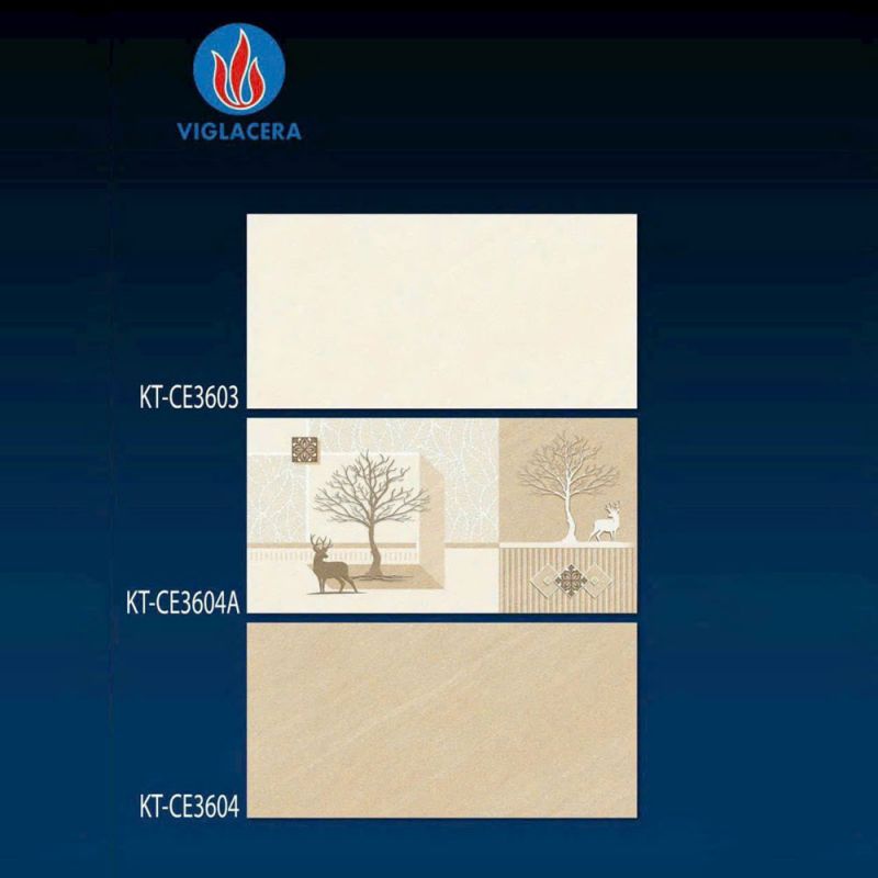 Gạch ốp tường Viglacera kích thước 30x60 KT-CE3603-3604A-3604